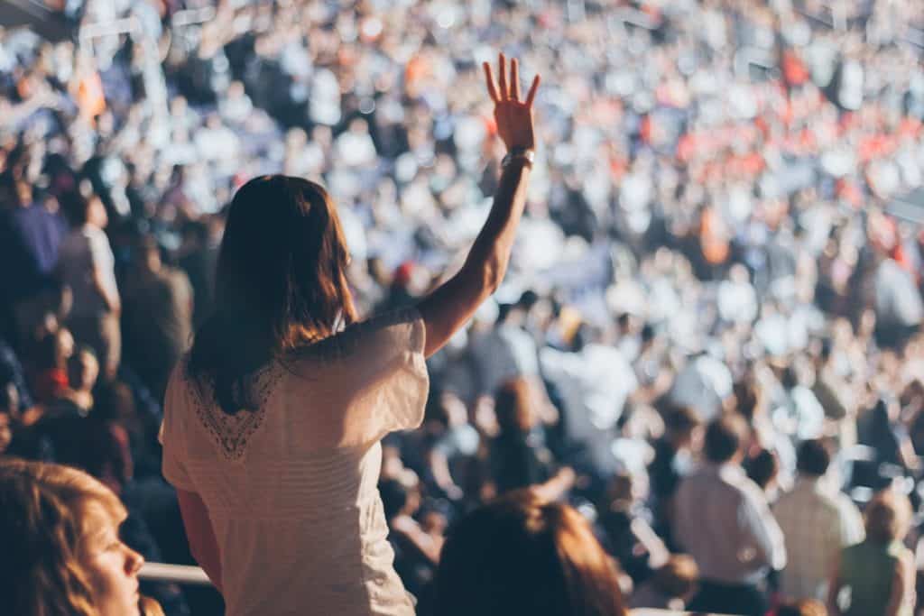 Create The Perfect Audience